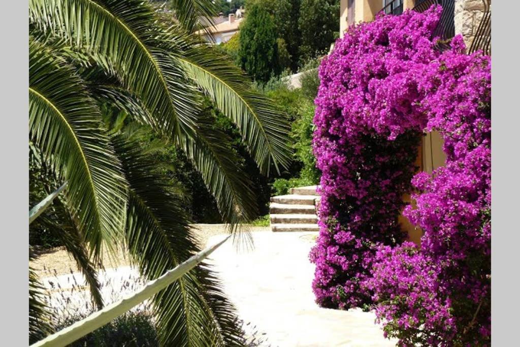Вілла Lou Pei 2 Saint-Peire-sur-Mer Екстер'єр фото
